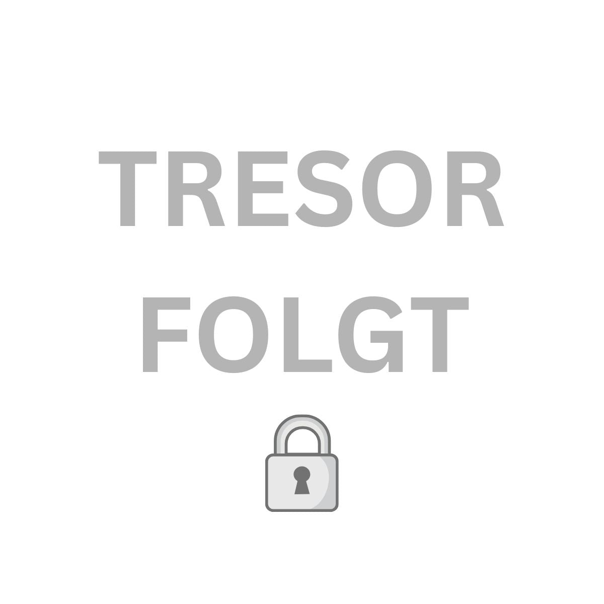 FeuerSicher| Tresor FLEX